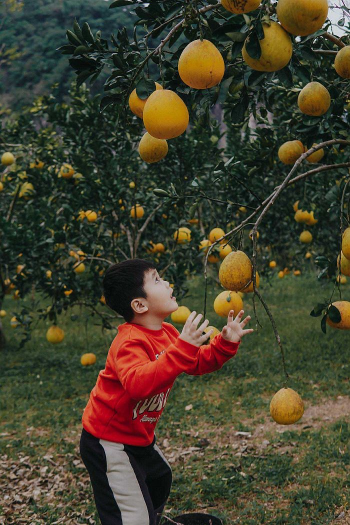 mcw casino chơi trực tuyến